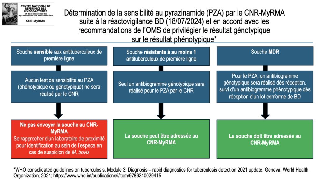 Schema du choix des tests de sensibilité au pyrazinamide